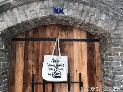 《灰光灯》读后感100字