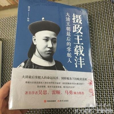 《重读摄政王载沣》读后感精选