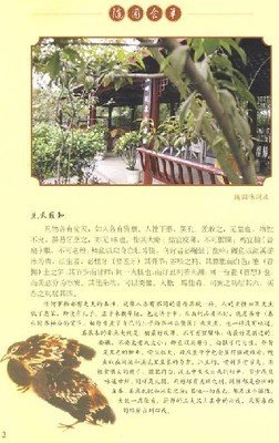 随园食单经典读后感有感