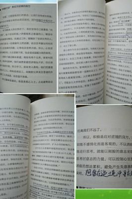 《世界不曾亏欠每一个努力的人》的读后感大全