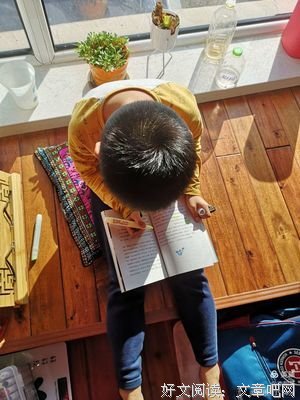 0-3岁孩子的正面管教读后感1000字