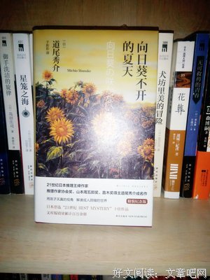向日葵不開的夏天读后感精选