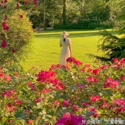 你是人间四月天的句子