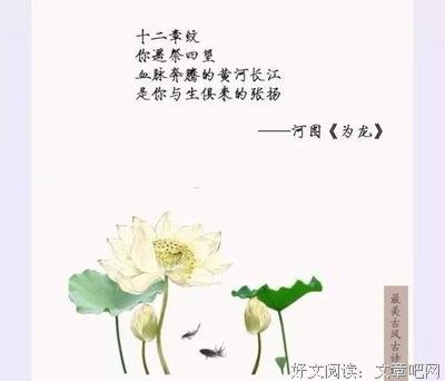 有关谨记身而为龙的模样的句子