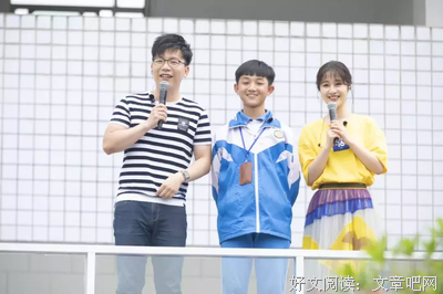 少年情怀总如诗