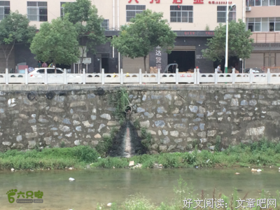 《青槐》的句子