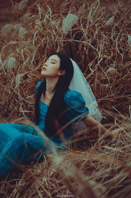 不诉离殇句子
