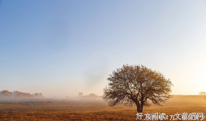 独处时刻的句子