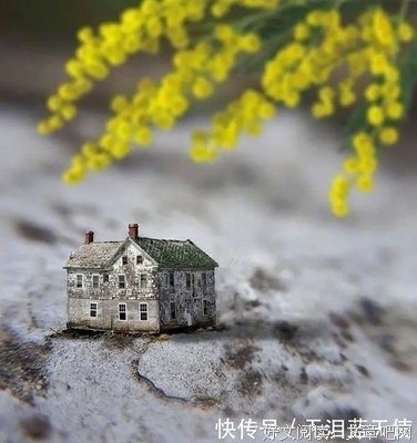 《随缘》的句子