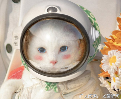 关于我爱的人，我的男人。的优美句子