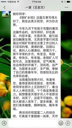 《祁连山 莲花血》读后感摘抄