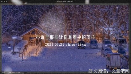有关小说文摘的句子