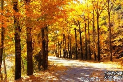 《人对走想有一只蝉，然着得夏的香》经典的句子