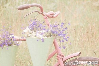 关于爱的领悟的句子