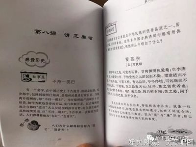 无名的道路的读后感大全