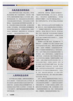 最经典的《走出非洲》佳句摘抄大全