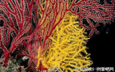 最经典的《越难越爱》经典的句子