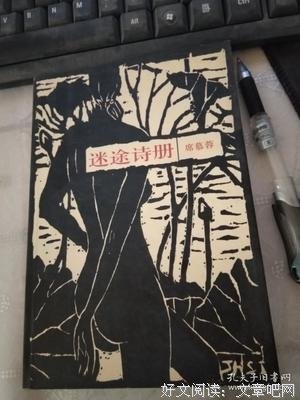 最全的《迷途诗册》经典句子