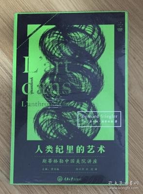 《人类纪里的艺术：斯蒂格勒中国美院讲座》读后感锦集