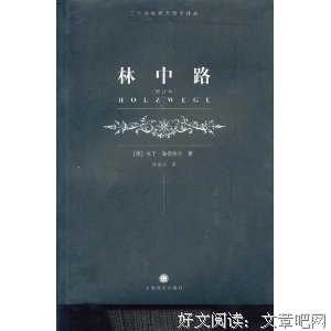《林中路》的读后感大全
