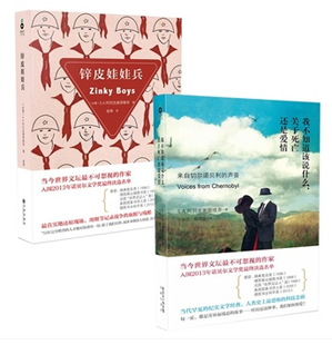 锌皮娃娃兵经典读后感有感