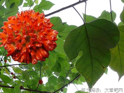 生活要有暖和光读后感1000字