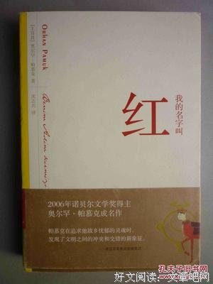 我的名字叫红读后感1000字