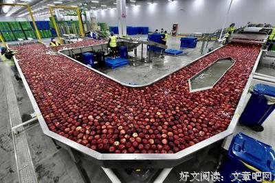 《改造中国农业》读后感1000字