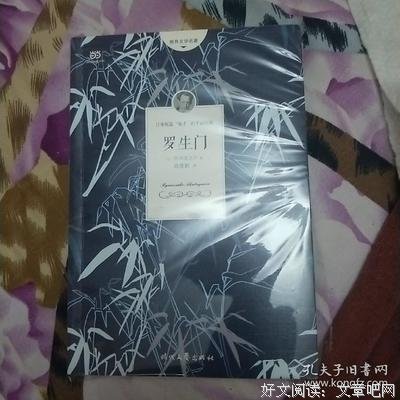 《头号书迷》读后感摘抄