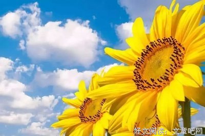 关于黑白分明的语句