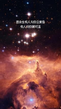 关于我喜欢 的句子