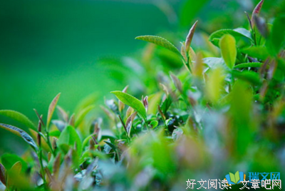 《未来》的句子