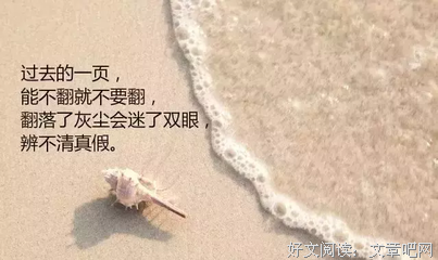 感情（亲情-友情）经典的句子