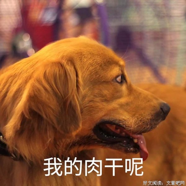 你和一好么？在我看不见的用象有主说过用象说来那作恙吗句子大全