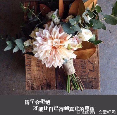 动情忘杯句子大全