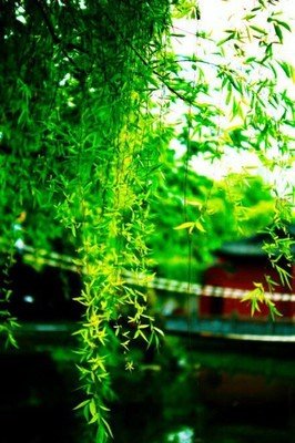 三生石旁，奈何桥边经典的句子