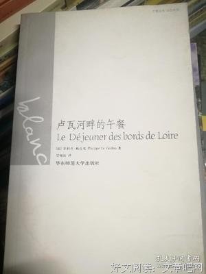 卢瓦河畔的午餐读后感精选