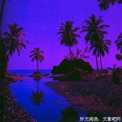 自己喜欢的一些句子