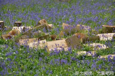 岁月任我傲清风的句子