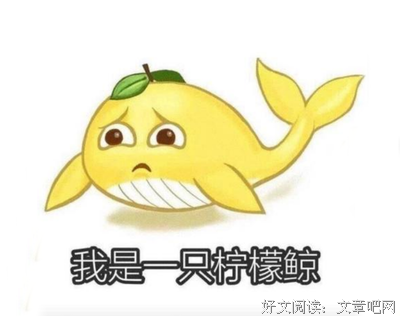 《其他》的句子
