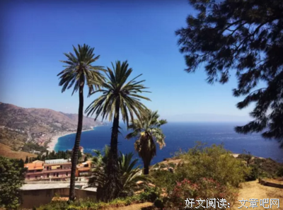 《捆绑我爱着我》观后感摘抄