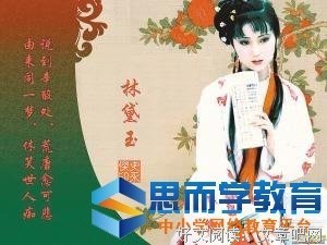 《百家讲坛：刘心武揭秘《红楼梦》》观后感100字