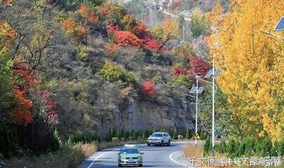 最全的《你是我今生最美的修发中生就》经典语句