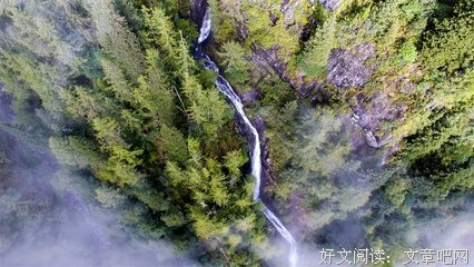 《这是一首简单的小情诗》语录摘抄