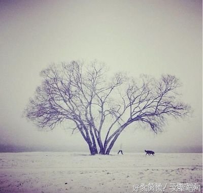 《心事天作所依》的句子