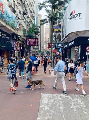 最新的罗伯特·麦克法伦名言