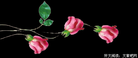关于芭芭拉·安吉丽思名言