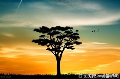最全的《追求卓越》经典名句