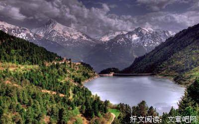 《逾期不候》小说句子
