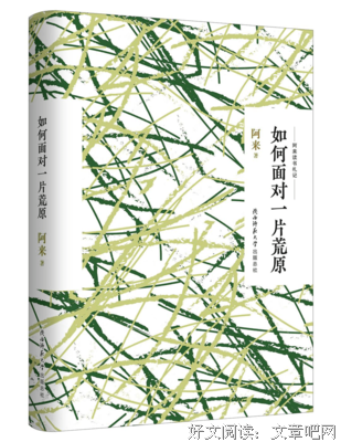 《汉语的本质和历史》读后感1000字